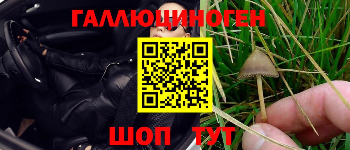 Псилоцибиновые грибы Magic Shrooms  Вход с VPN  Ковров 