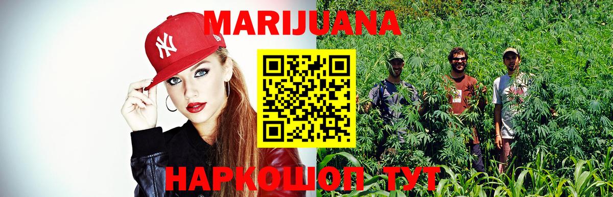 Конопля MAZAR  Вход с VPN  Ковров  Конопля марихуана  МАРИХУАНА гибрид 